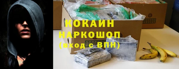 гашик Магас