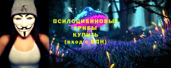 a pvp Медвежьегорск