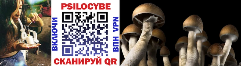 Галлюциногенные грибы Cubensis  Полысаево 
